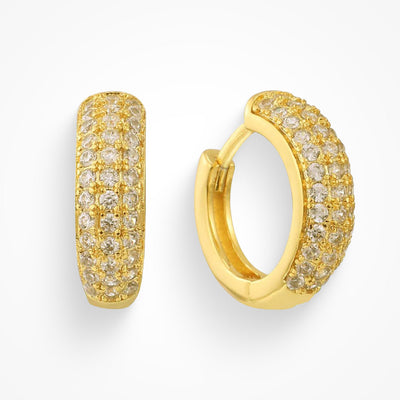 Dollar Bill Earrings - EVRYJEWELS