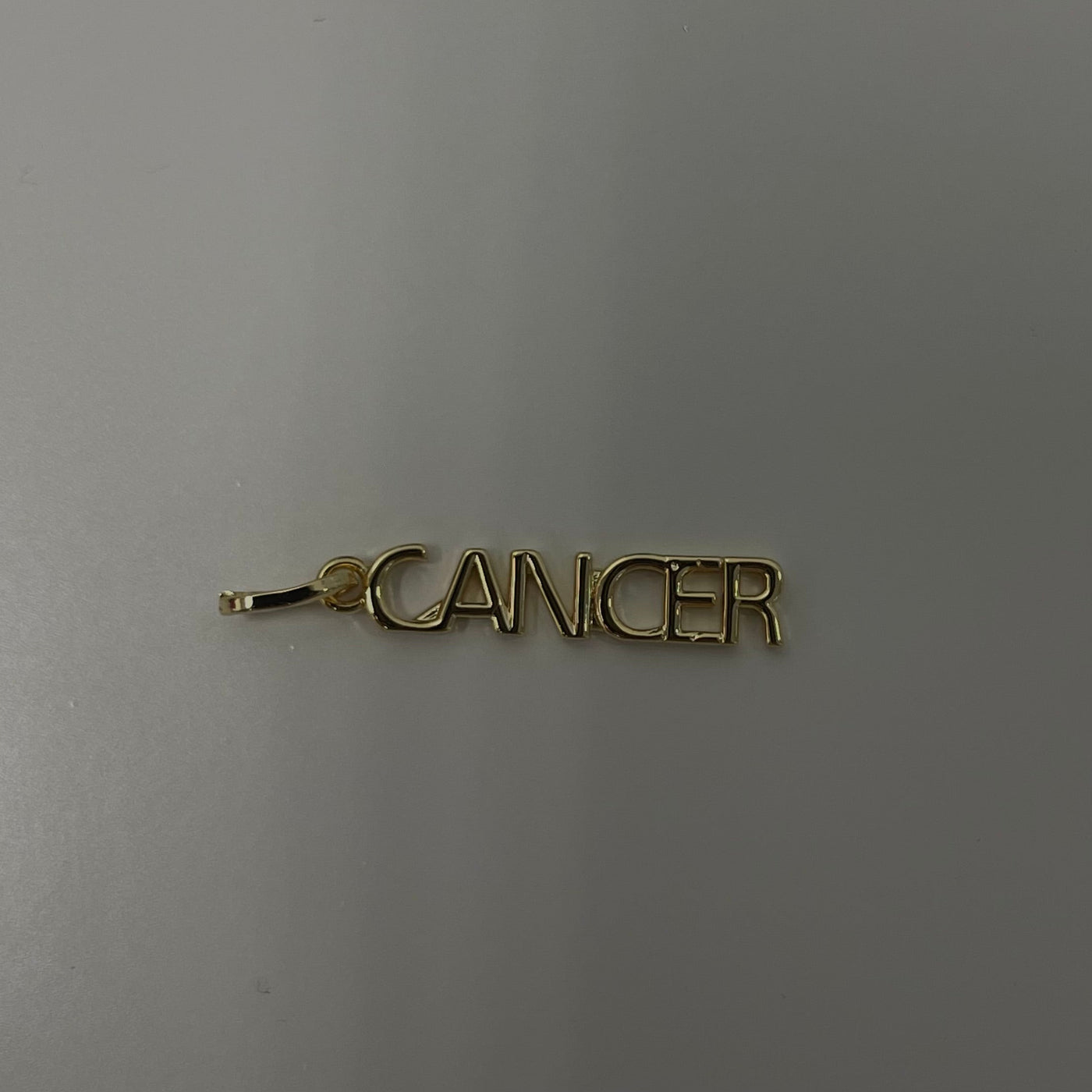 Zodiac Charms